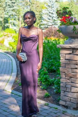 Keywords: gardens;cars;reflections