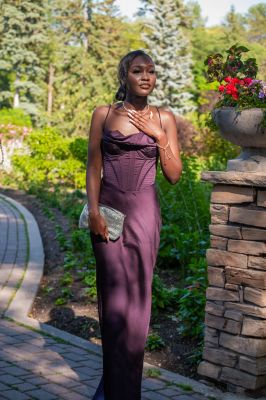 Keywords: gardens;cars;reflections