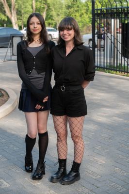 Keywords: gardens;cars;reflections