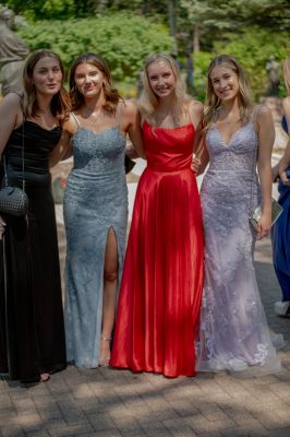 Keywords: gardens;cars;reflections