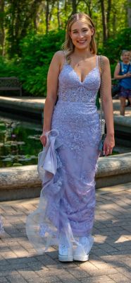 Keywords: gardens;cars;reflections