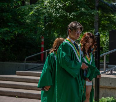 Keywords: gardens;cars;reflections