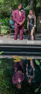 Keywords: gardens;cars;reflections