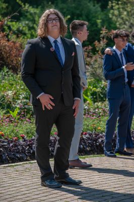 Keywords: gardens;cars;reflections