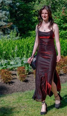 Keywords: gardens;cars;reflections