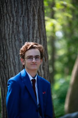 Keywords: gardens;cars;reflections