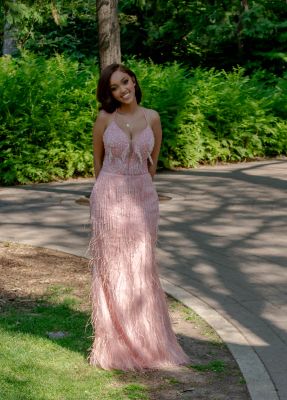 Keywords: gardens;cars;reflections