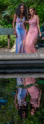 Keywords: gardens;cars;reflections